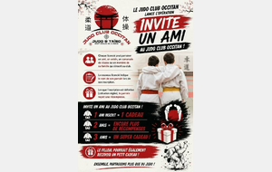 Et si votre meilleur partenaire de judo était... votre meilleur ami ?