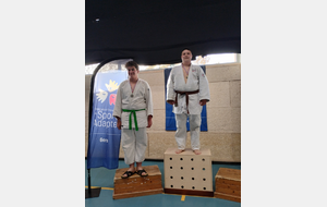 Championnat departemental para judo  FFSA Fleurance